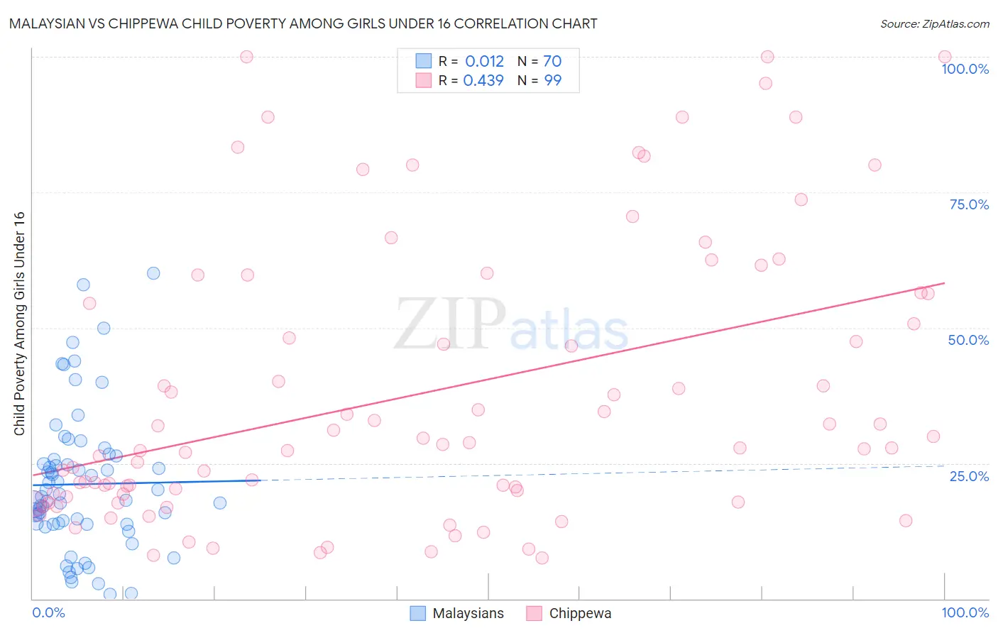 Malaysian vs Chippewa Child Poverty Among Girls Under 16