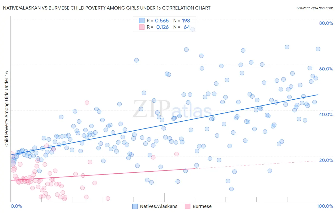 Native/Alaskan vs Burmese Child Poverty Among Girls Under 16