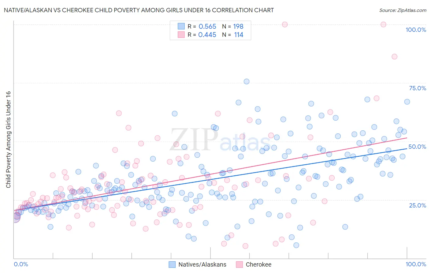 Native/Alaskan vs Cherokee Child Poverty Among Girls Under 16