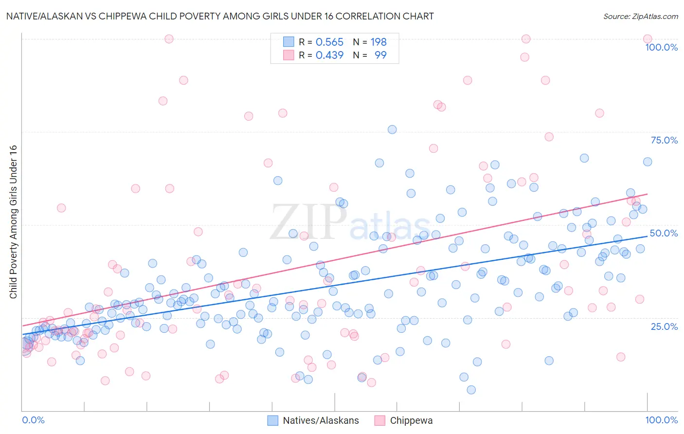 Native/Alaskan vs Chippewa Child Poverty Among Girls Under 16