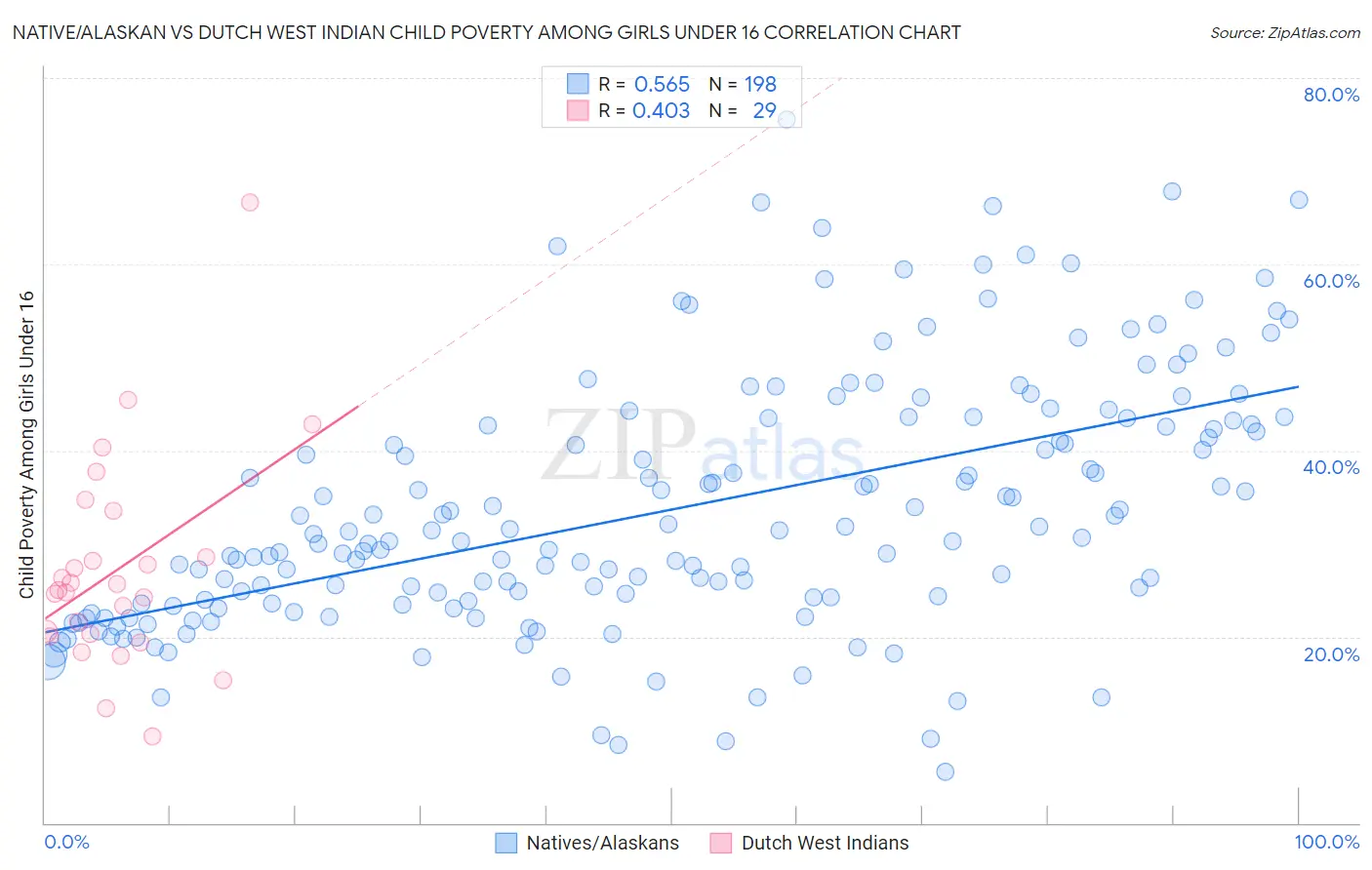 Native/Alaskan vs Dutch West Indian Child Poverty Among Girls Under 16