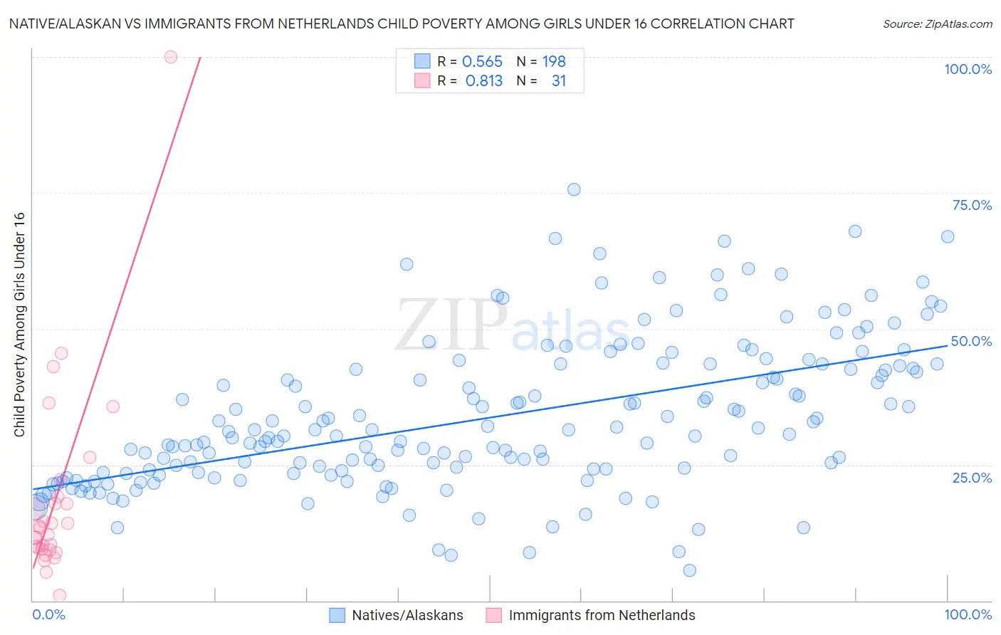 Native/Alaskan vs Immigrants from Netherlands Child Poverty Among Girls Under 16