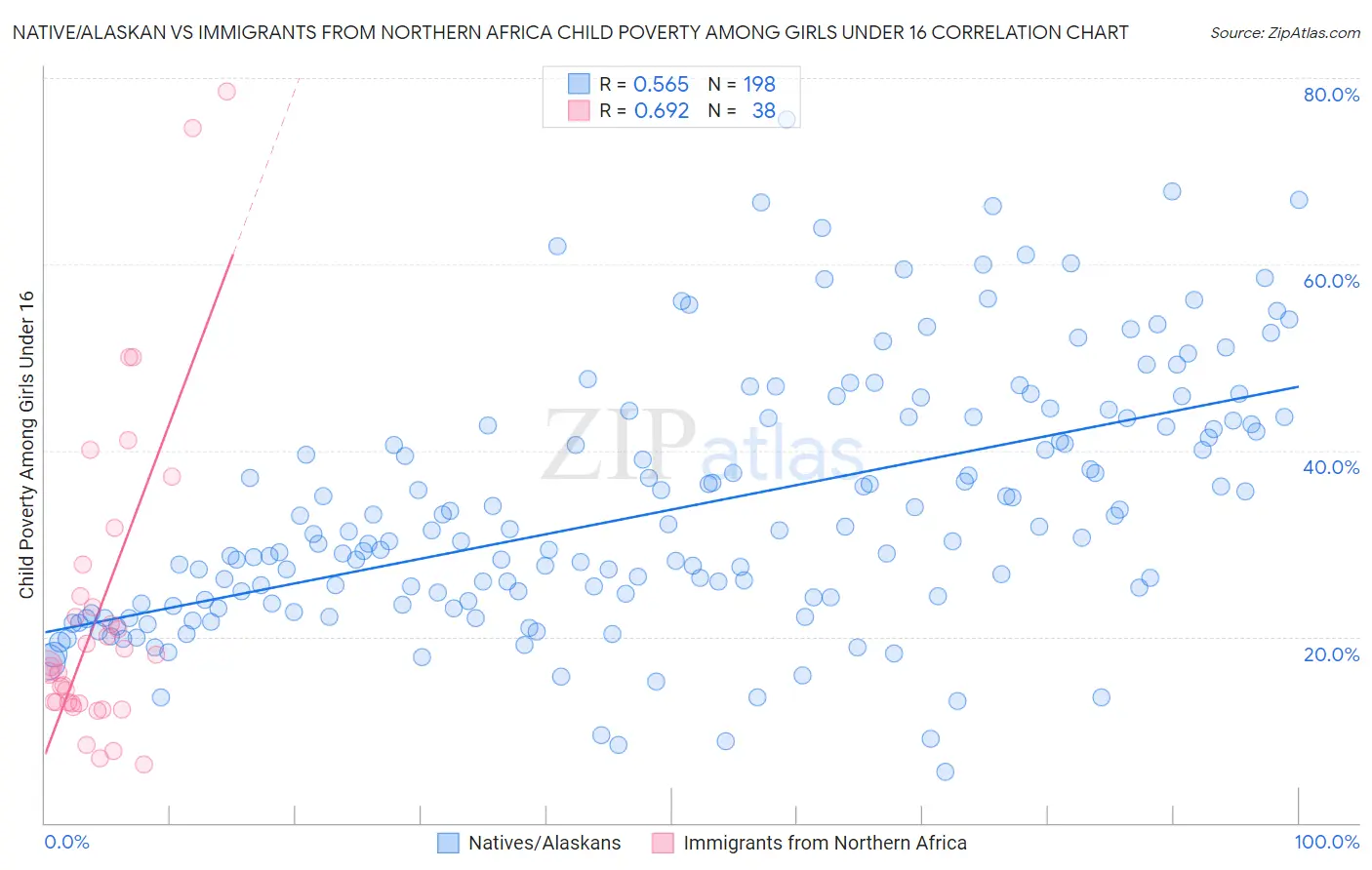 Native/Alaskan vs Immigrants from Northern Africa Child Poverty Among Girls Under 16