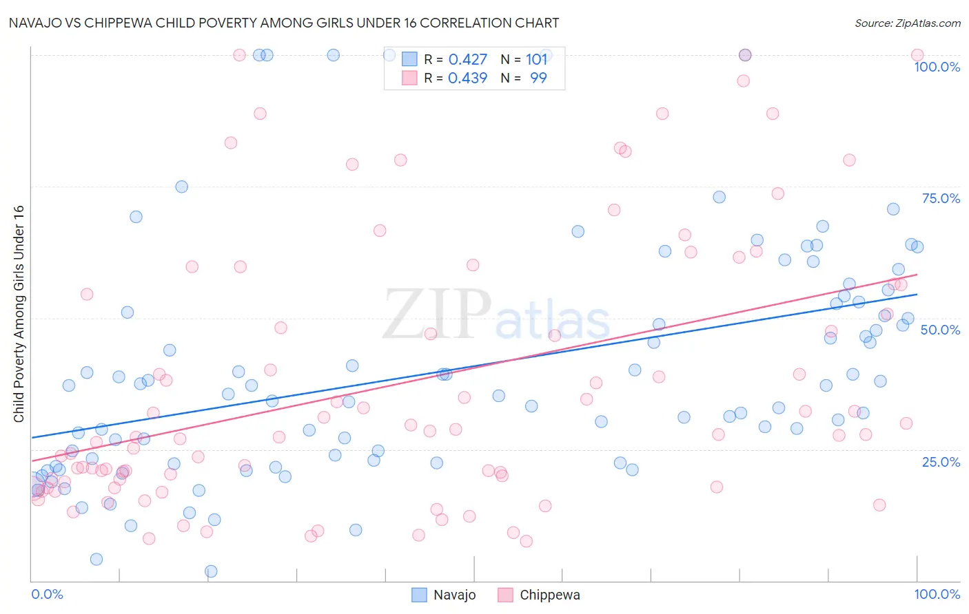 Navajo vs Chippewa Child Poverty Among Girls Under 16