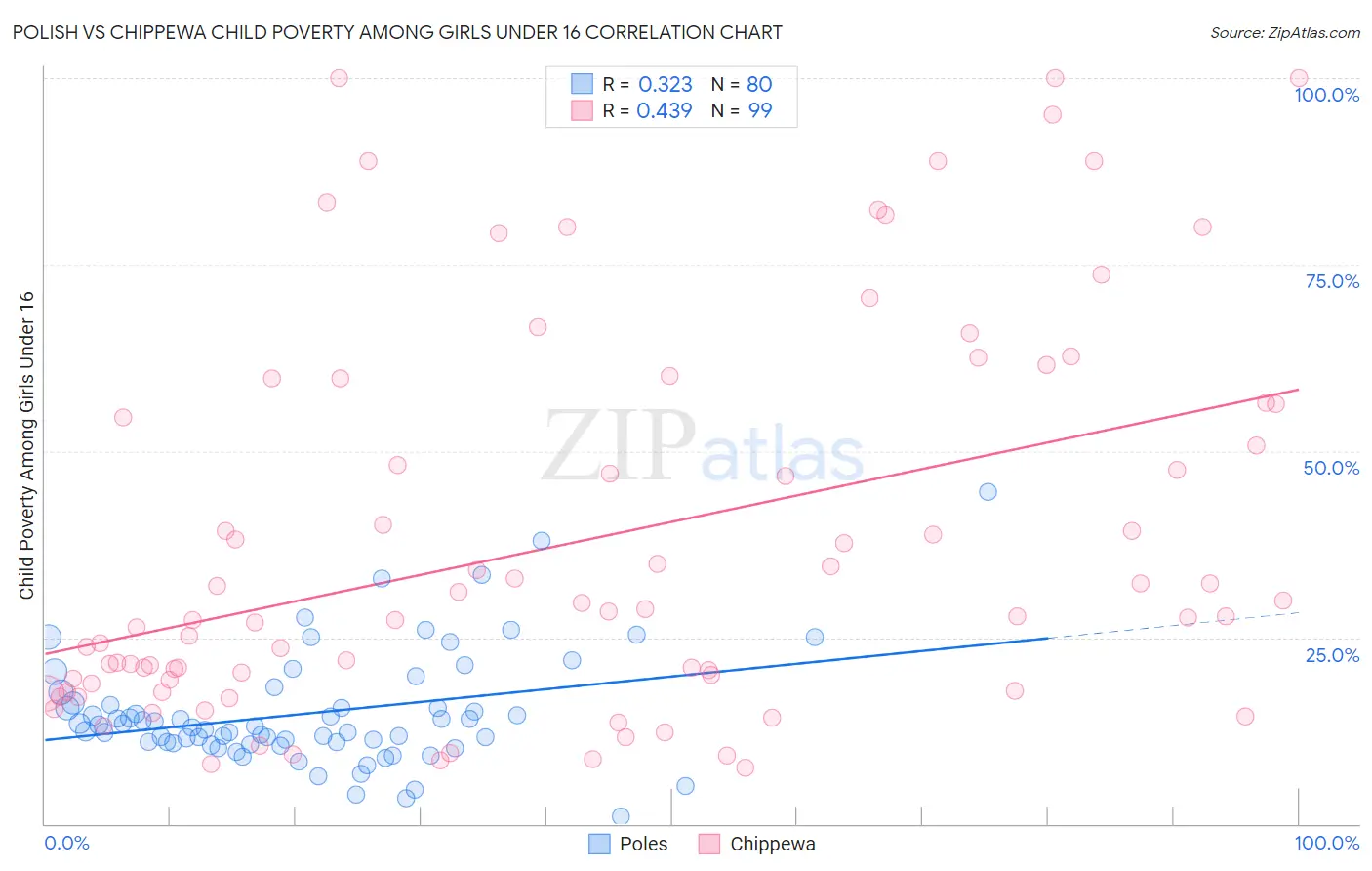 Polish vs Chippewa Child Poverty Among Girls Under 16