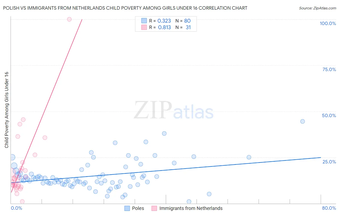 Polish vs Immigrants from Netherlands Child Poverty Among Girls Under 16