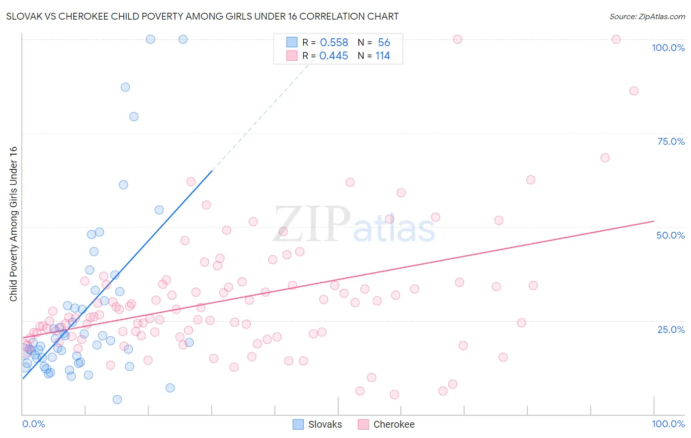 Slovak vs Cherokee Child Poverty Among Girls Under 16