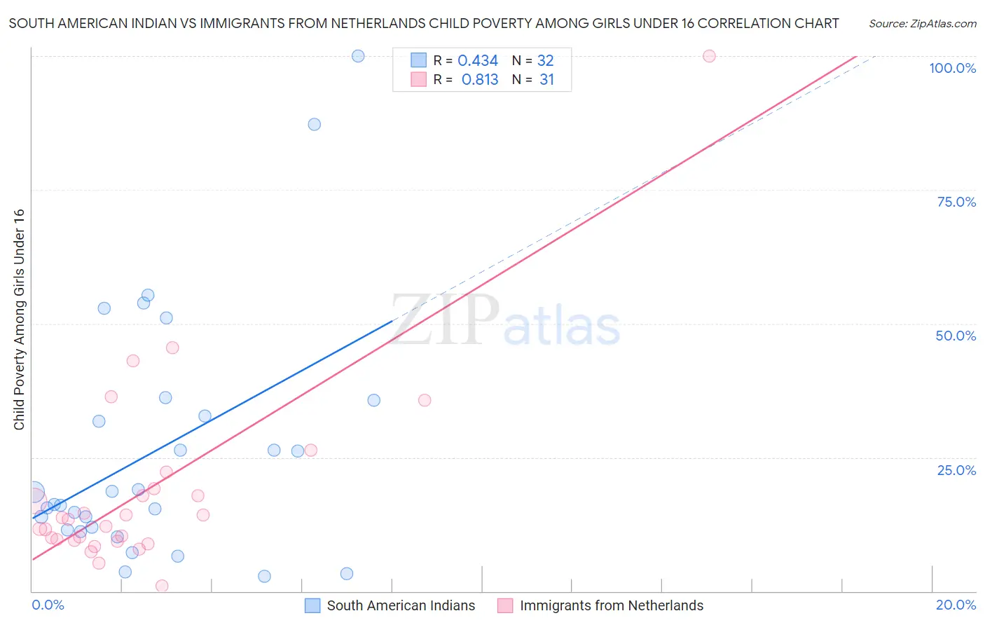 South American Indian vs Immigrants from Netherlands Child Poverty Among Girls Under 16