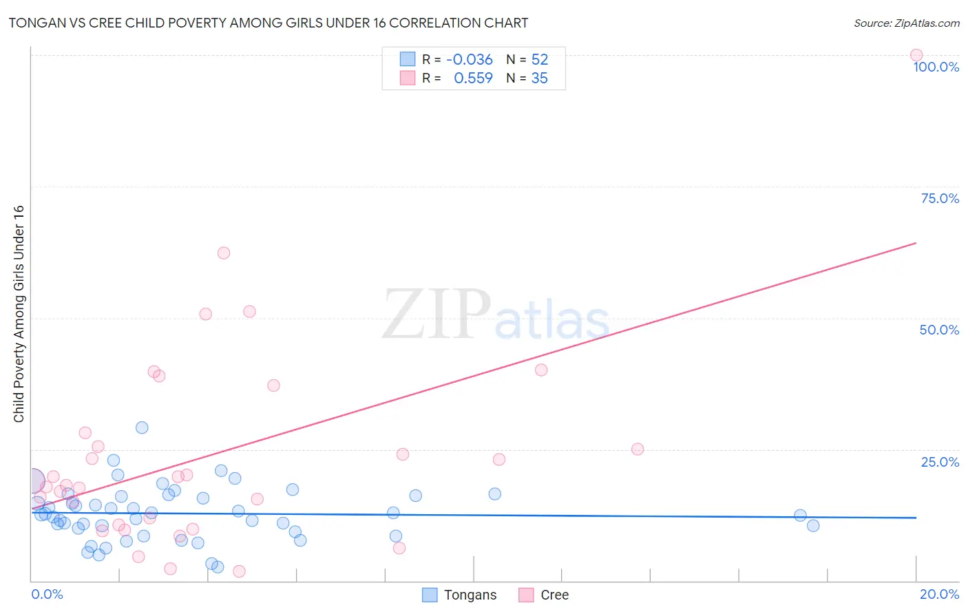 Tongan vs Cree Child Poverty Among Girls Under 16