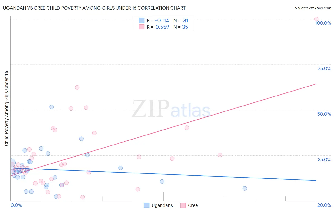 Ugandan vs Cree Child Poverty Among Girls Under 16