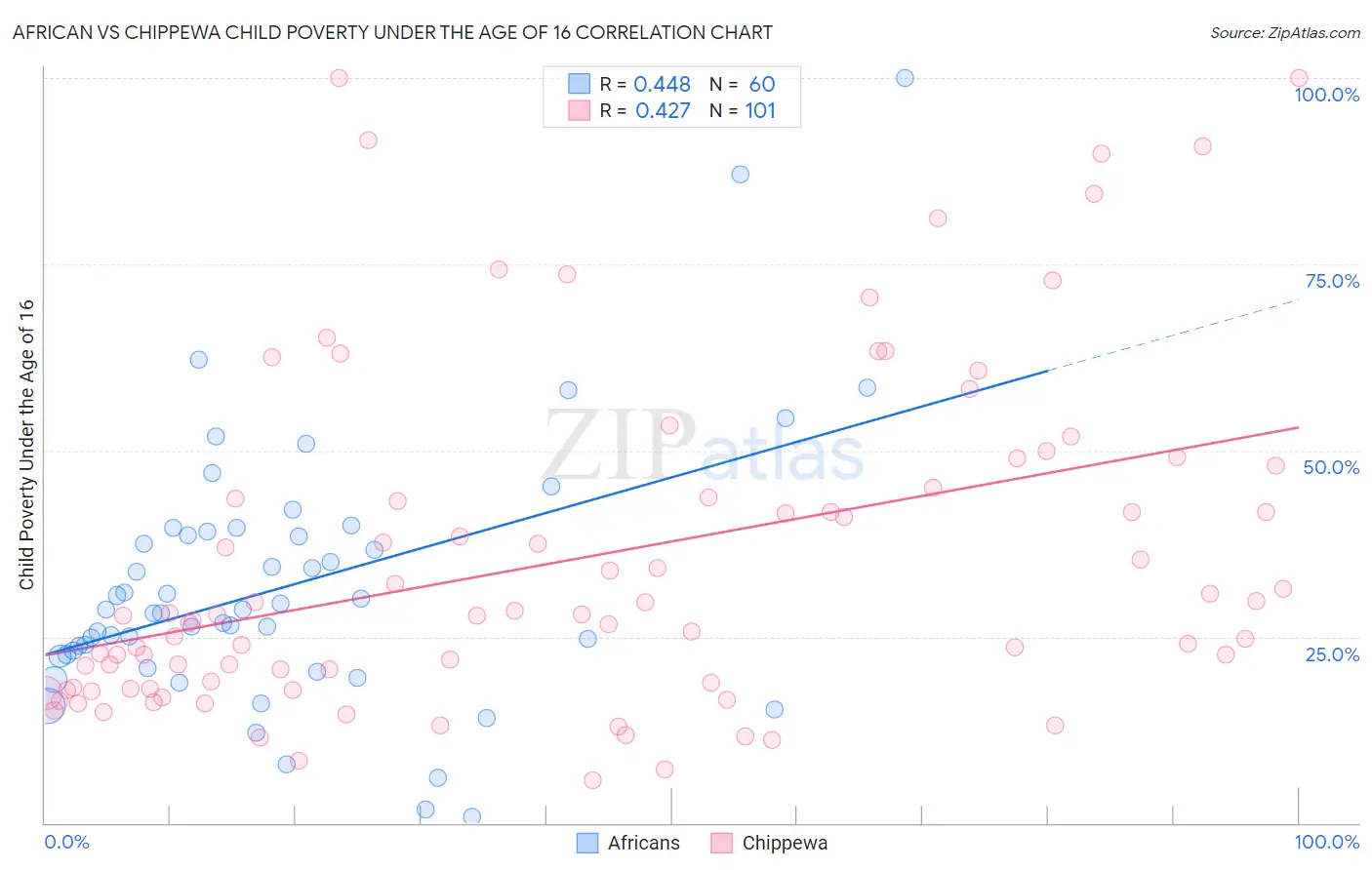 African vs Chippewa Child Poverty Under the Age of 16