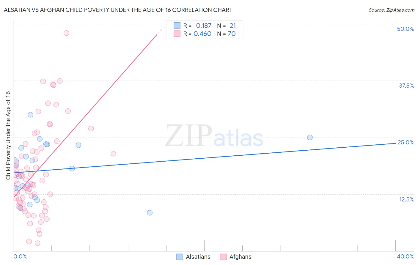 Alsatian vs Afghan Child Poverty Under the Age of 16