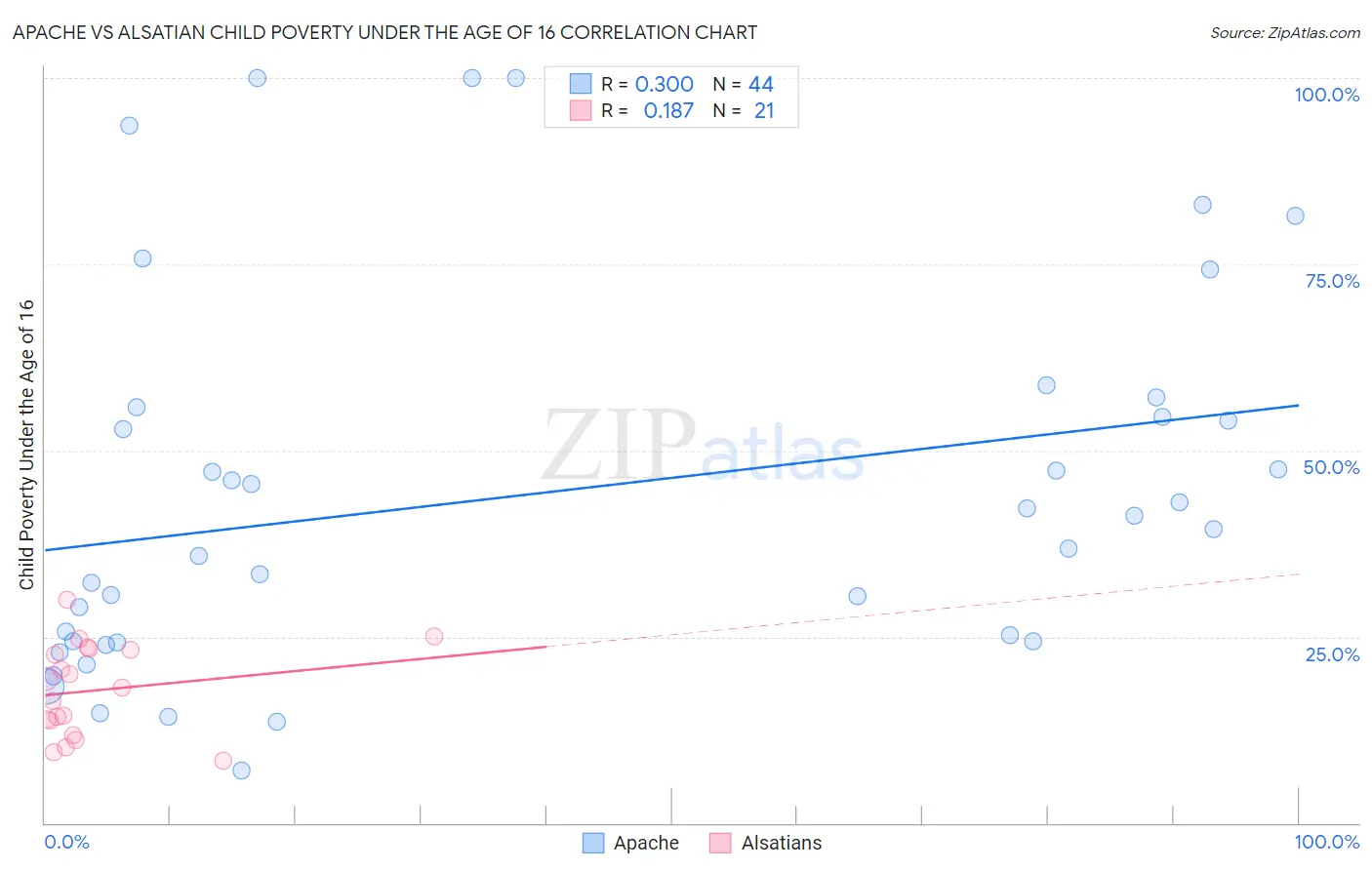 Apache vs Alsatian Child Poverty Under the Age of 16