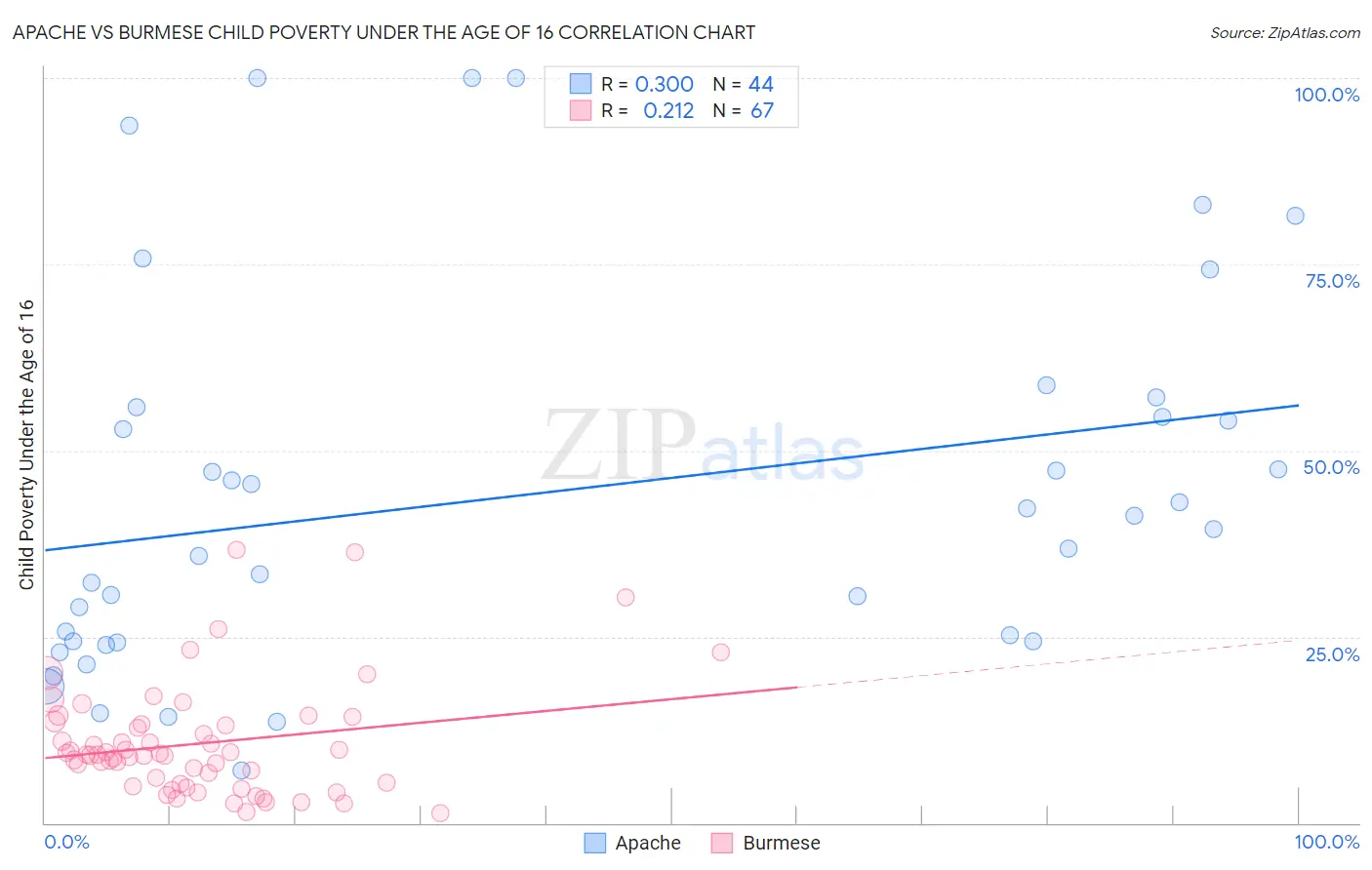 Apache vs Burmese Child Poverty Under the Age of 16