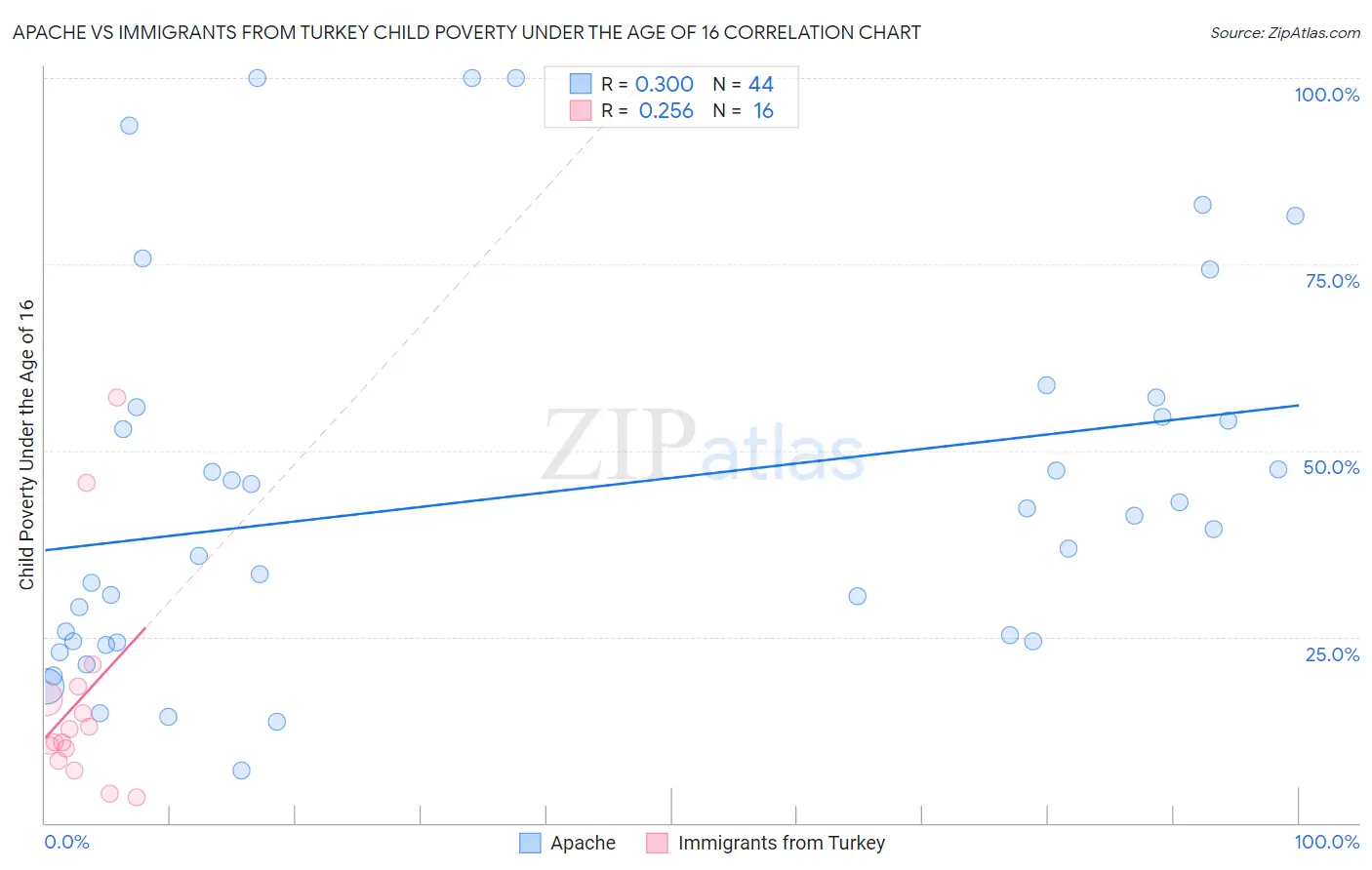 Apache vs Immigrants from Turkey Child Poverty Under the Age of 16