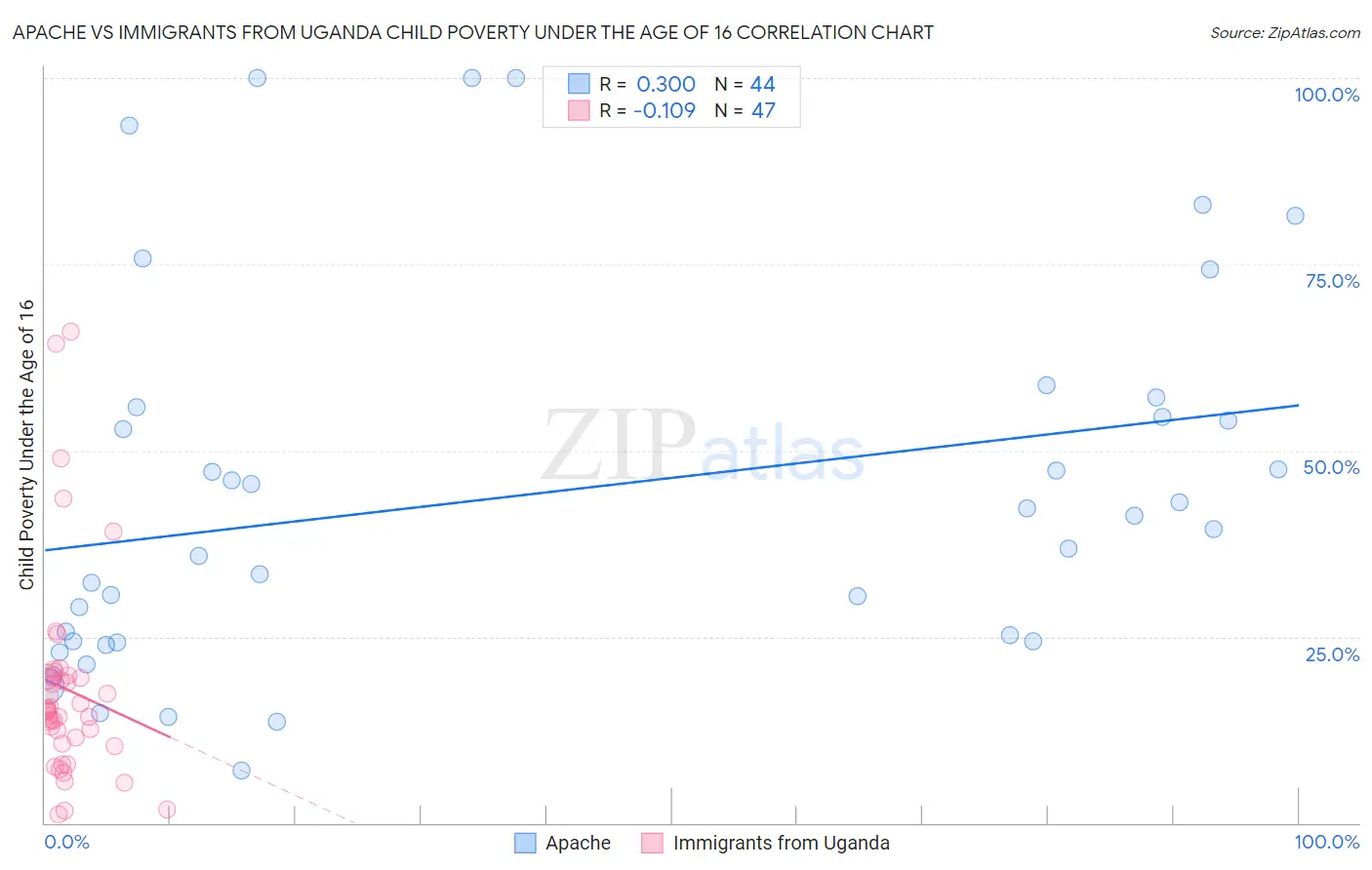 Apache vs Immigrants from Uganda Child Poverty Under the Age of 16