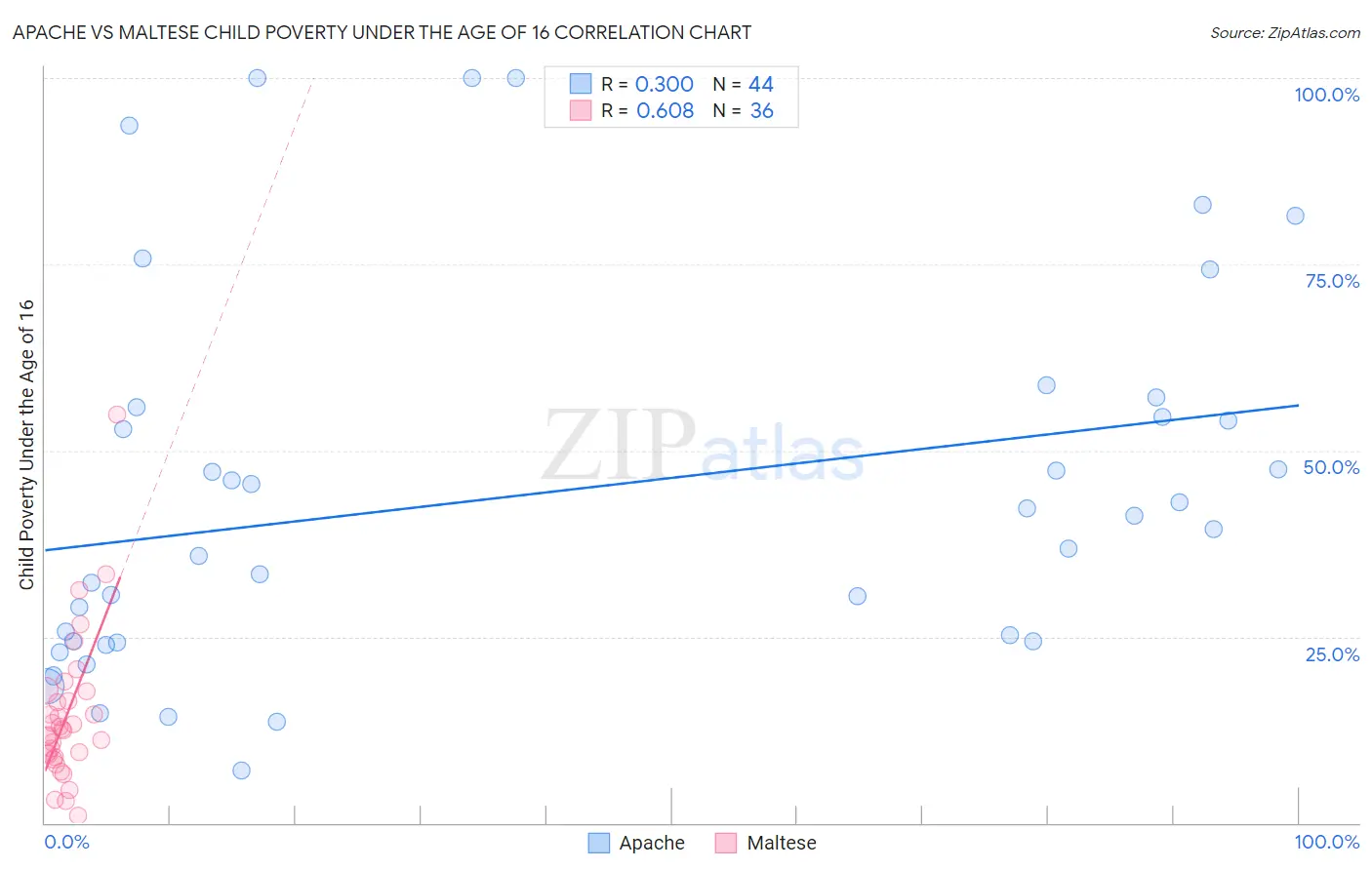 Apache vs Maltese Child Poverty Under the Age of 16