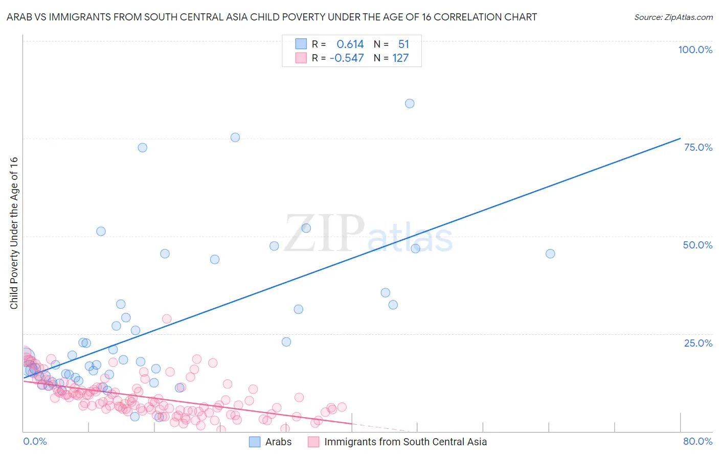 Arab vs Immigrants from South Central Asia Child Poverty Under the Age of 16