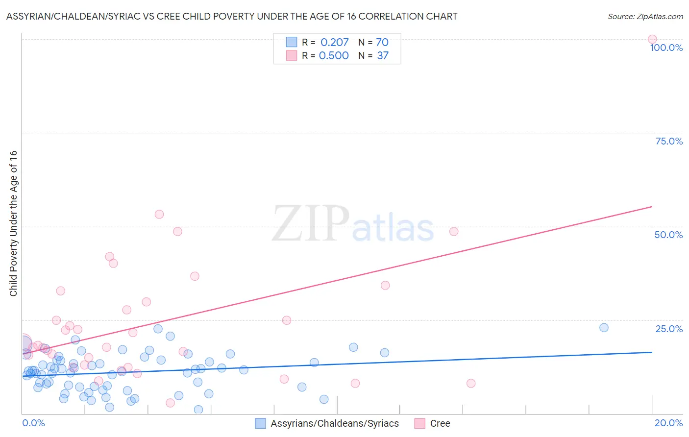 Assyrian/Chaldean/Syriac vs Cree Child Poverty Under the Age of 16