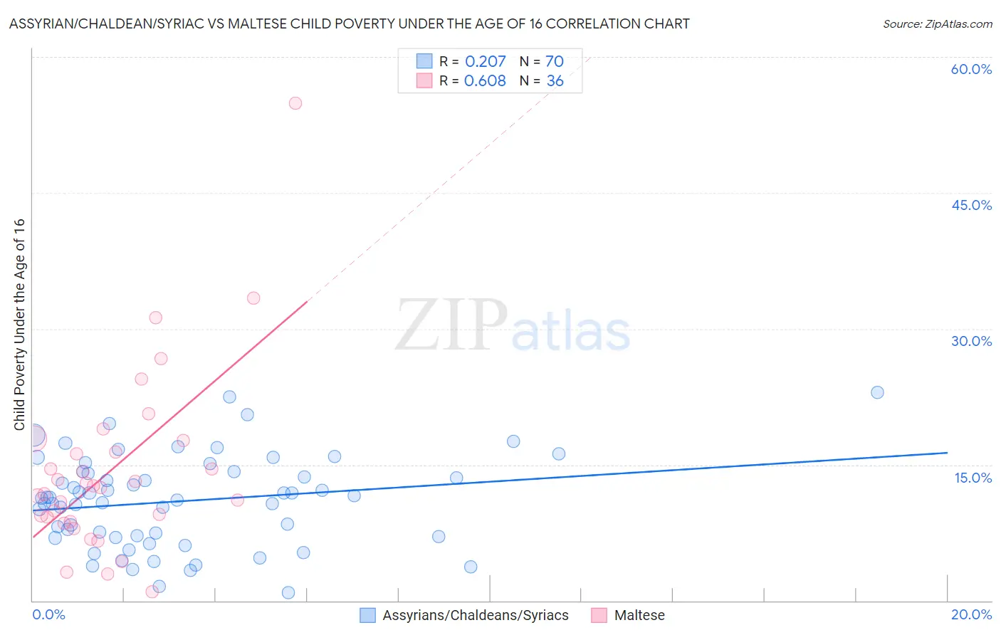 Assyrian/Chaldean/Syriac vs Maltese Child Poverty Under the Age of 16