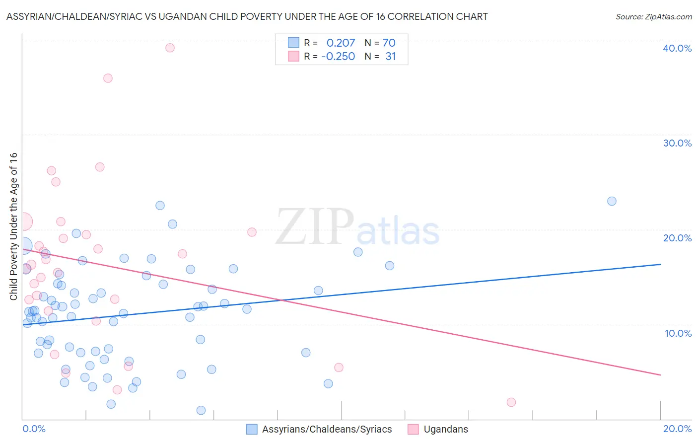 Assyrian/Chaldean/Syriac vs Ugandan Child Poverty Under the Age of 16