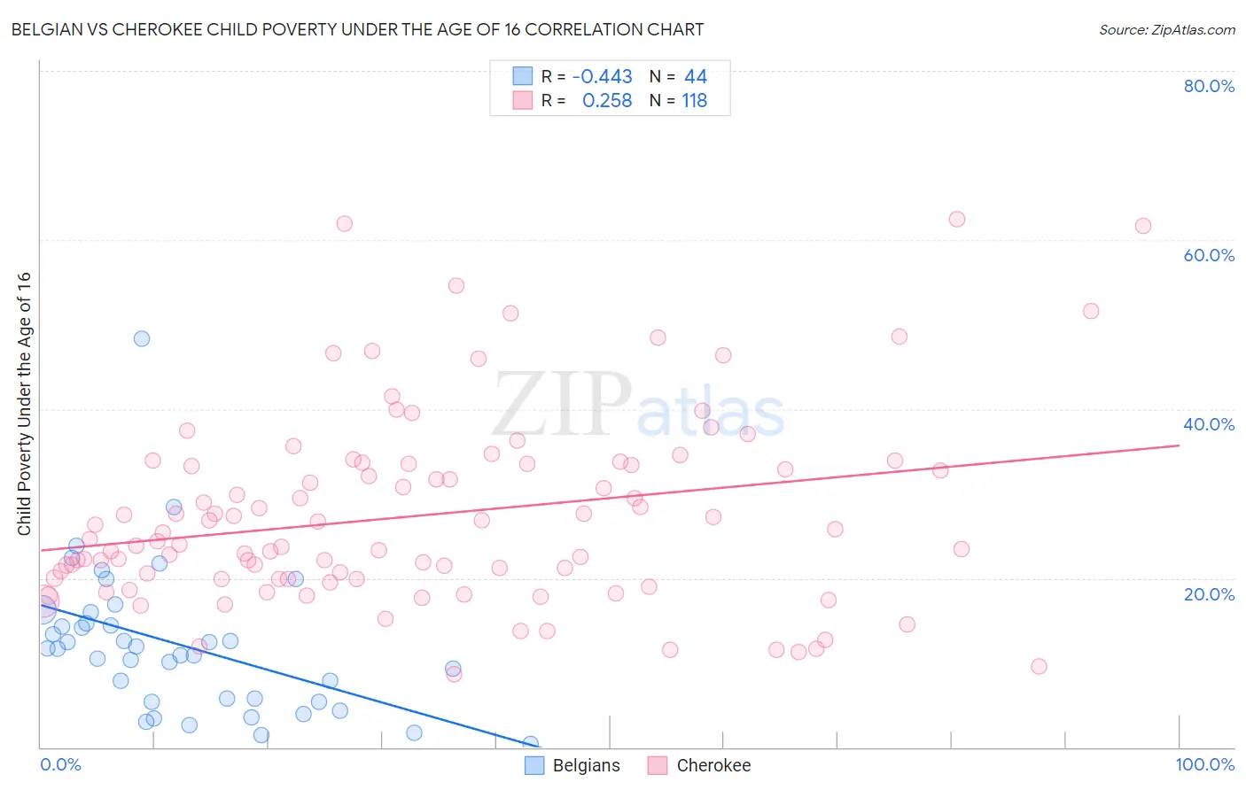 Belgian vs Cherokee Child Poverty Under the Age of 16