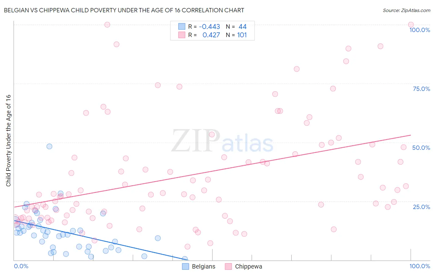 Belgian vs Chippewa Child Poverty Under the Age of 16