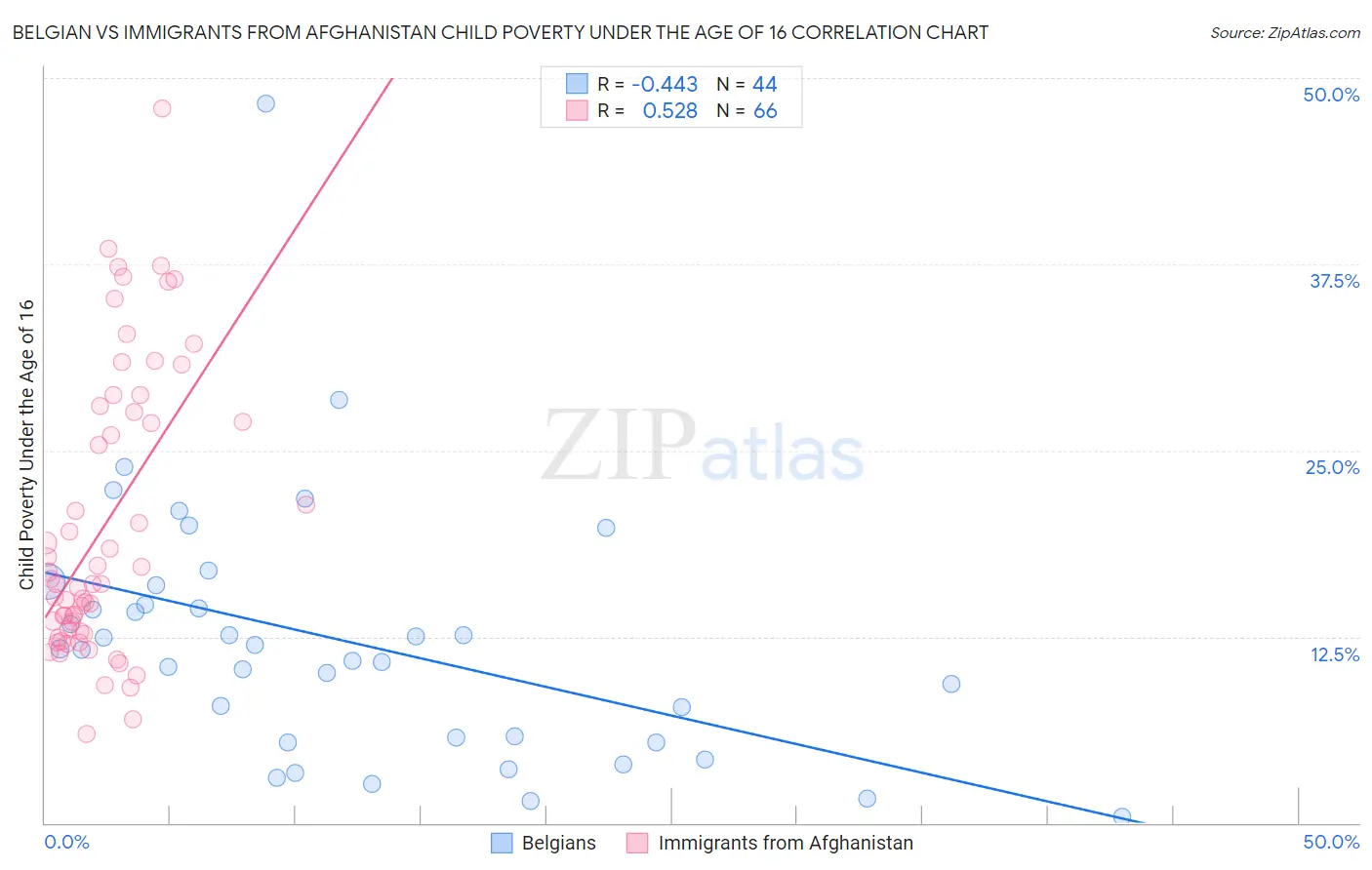 Belgian vs Immigrants from Afghanistan Child Poverty Under the Age of 16