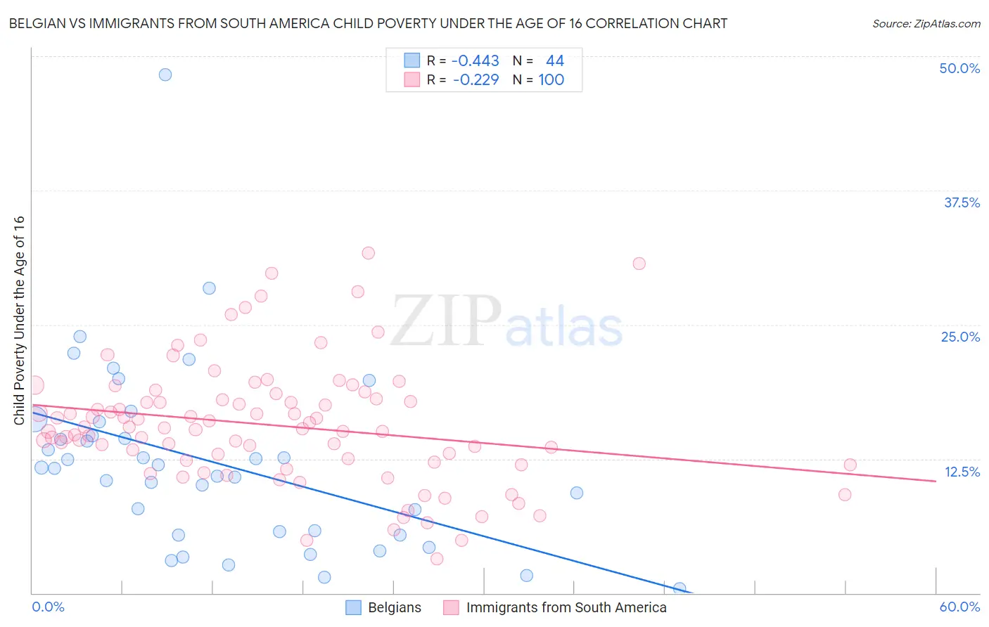 Belgian vs Immigrants from South America Child Poverty Under the Age of 16