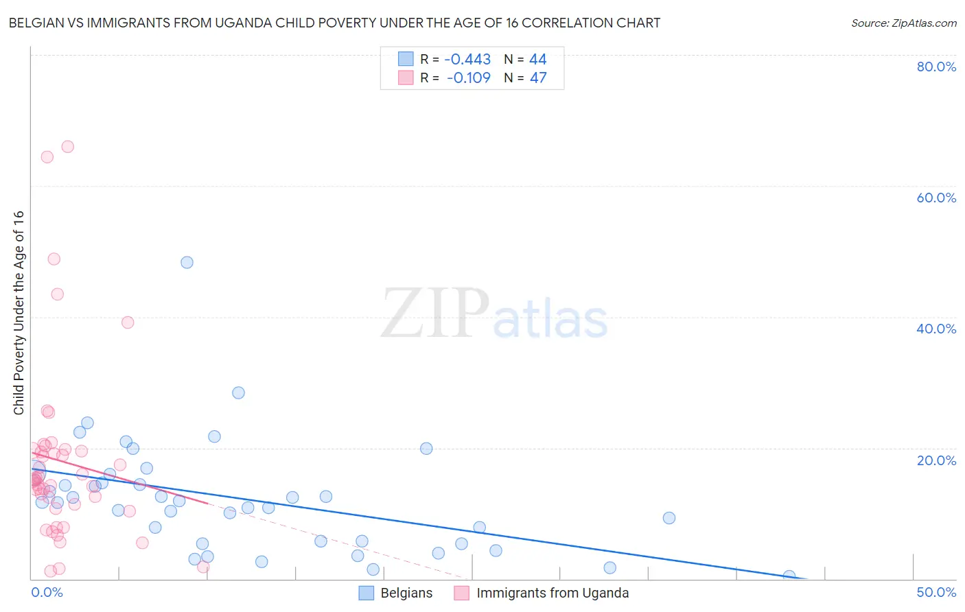 Belgian vs Immigrants from Uganda Child Poverty Under the Age of 16