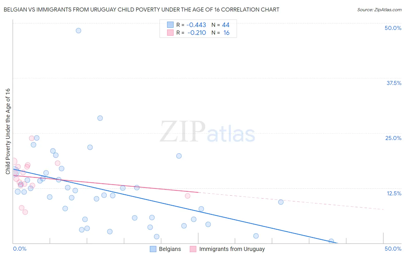 Belgian vs Immigrants from Uruguay Child Poverty Under the Age of 16