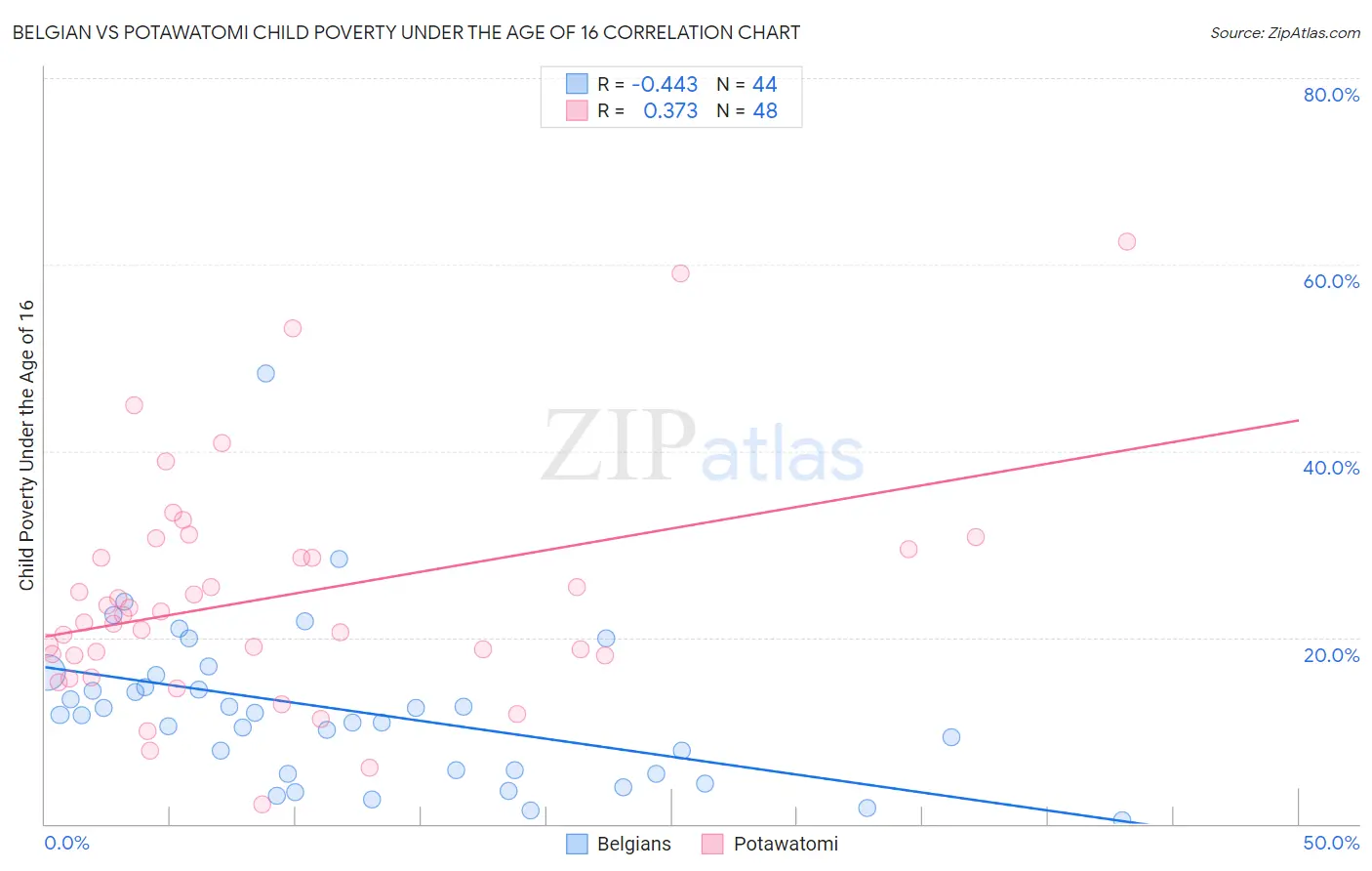 Belgian vs Potawatomi Child Poverty Under the Age of 16