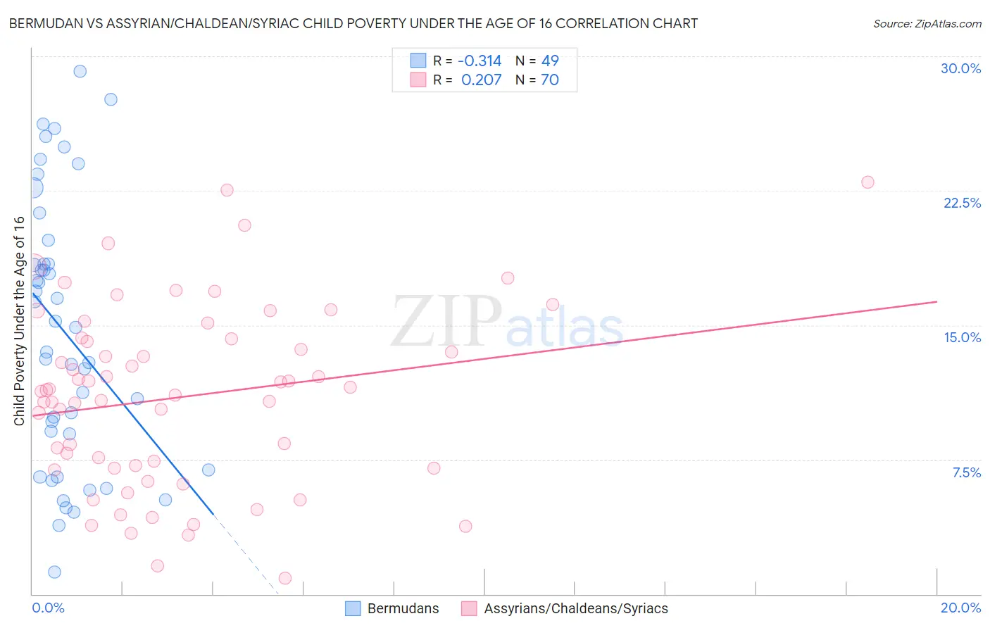 Bermudan vs Assyrian/Chaldean/Syriac Child Poverty Under the Age of 16