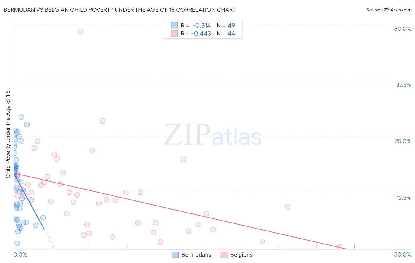 Bermudan vs Belgian Child Poverty Under the Age of 16