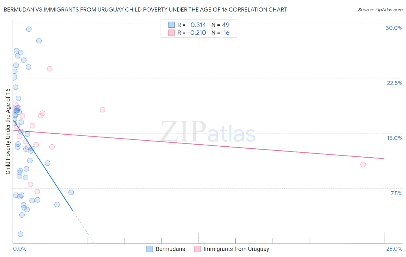 Bermudan vs Immigrants from Uruguay Child Poverty Under the Age of 16