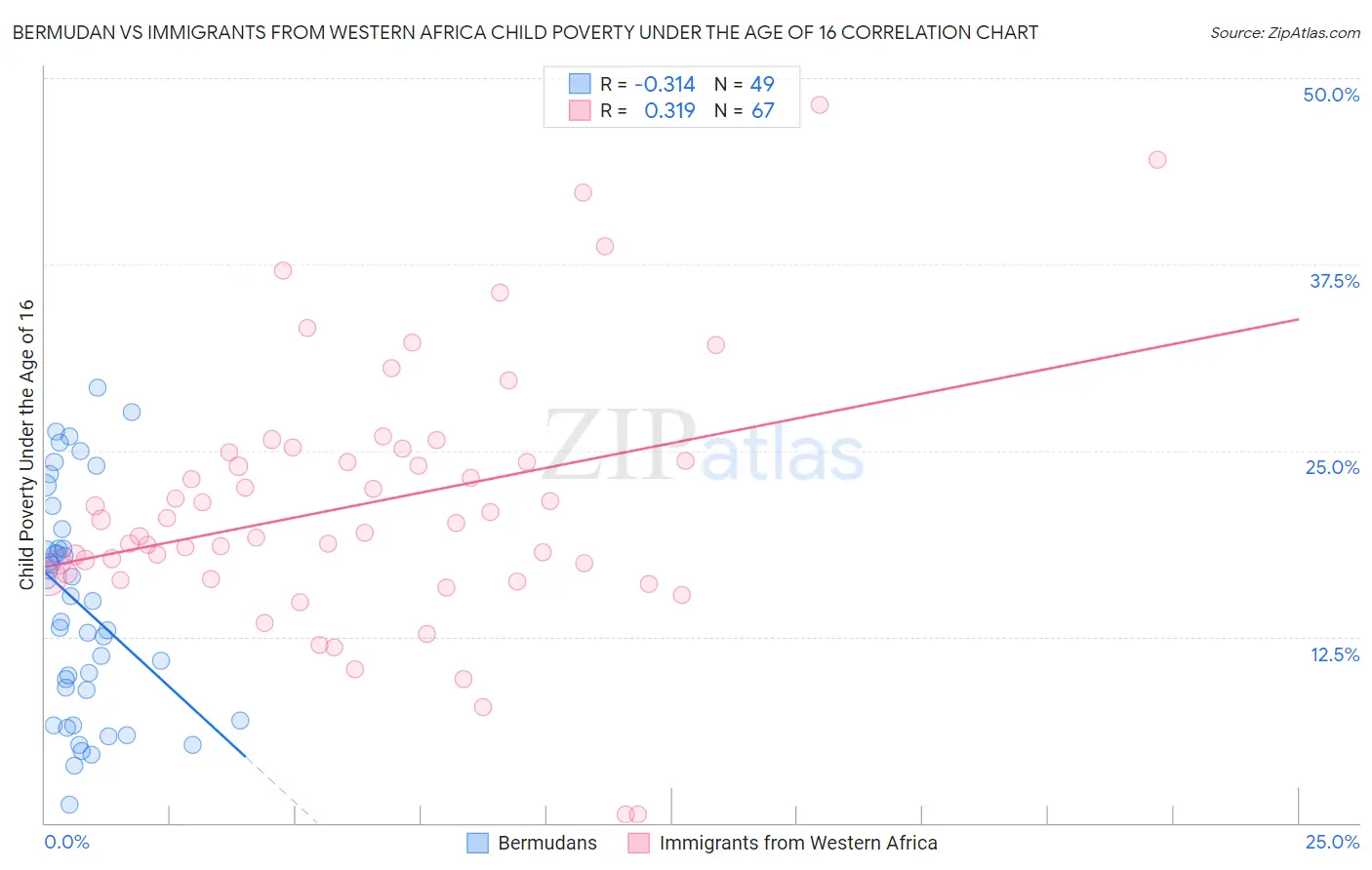 Bermudan vs Immigrants from Western Africa Child Poverty Under the Age of 16