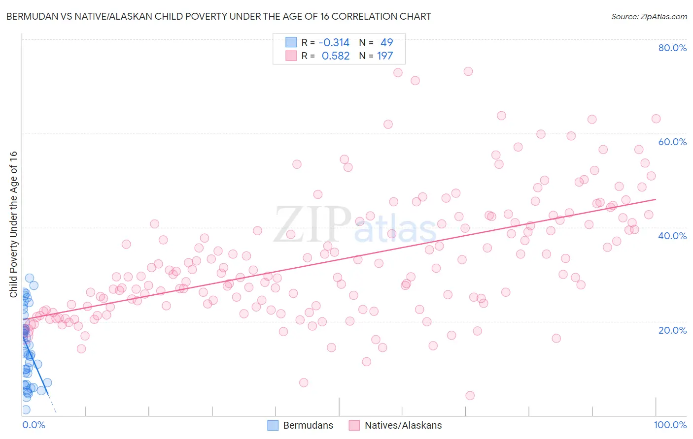 Bermudan vs Native/Alaskan Child Poverty Under the Age of 16