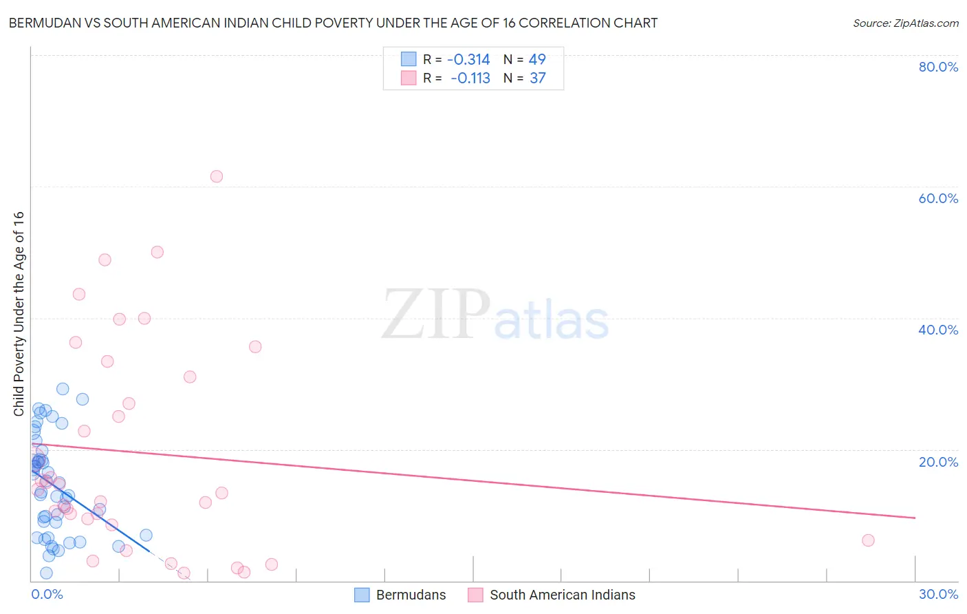 Bermudan vs South American Indian Child Poverty Under the Age of 16