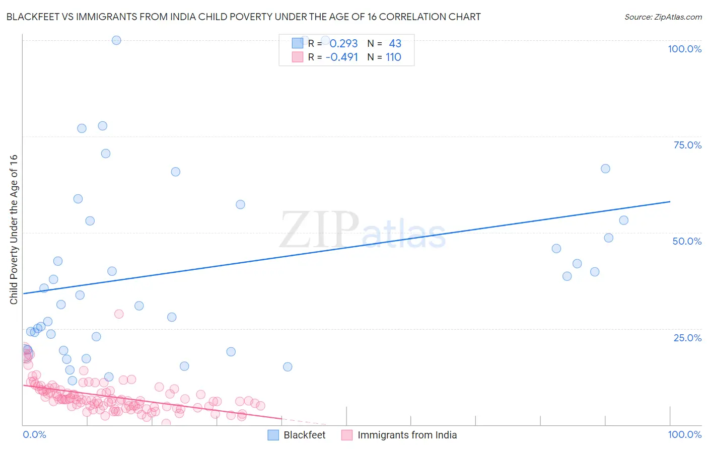 Blackfeet vs Immigrants from India Child Poverty Under the Age of 16