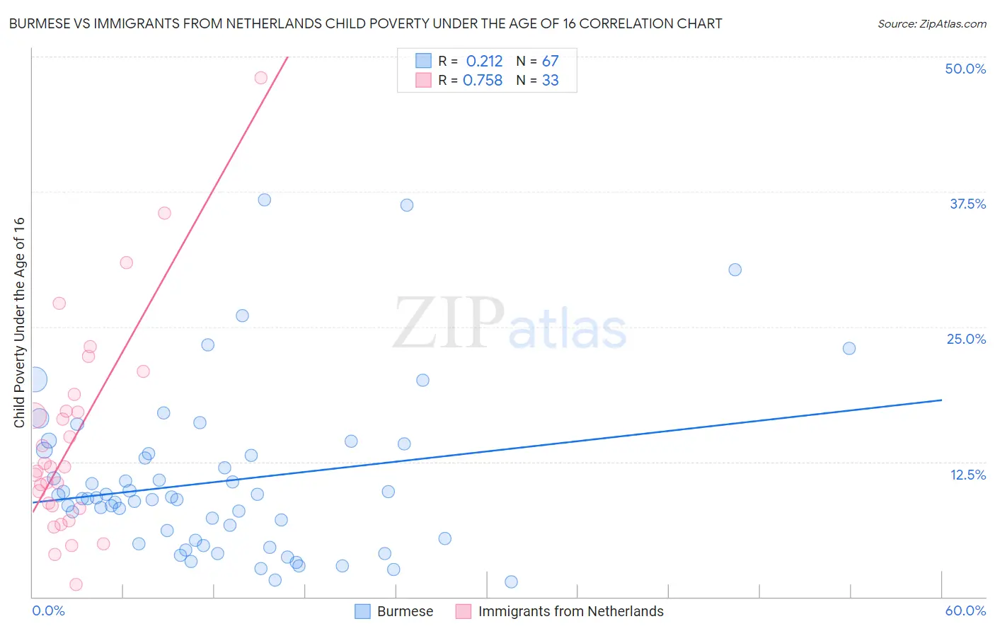 Burmese vs Immigrants from Netherlands Child Poverty Under the Age of 16