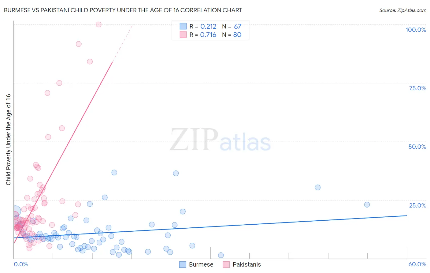 Burmese vs Pakistani Child Poverty Under the Age of 16