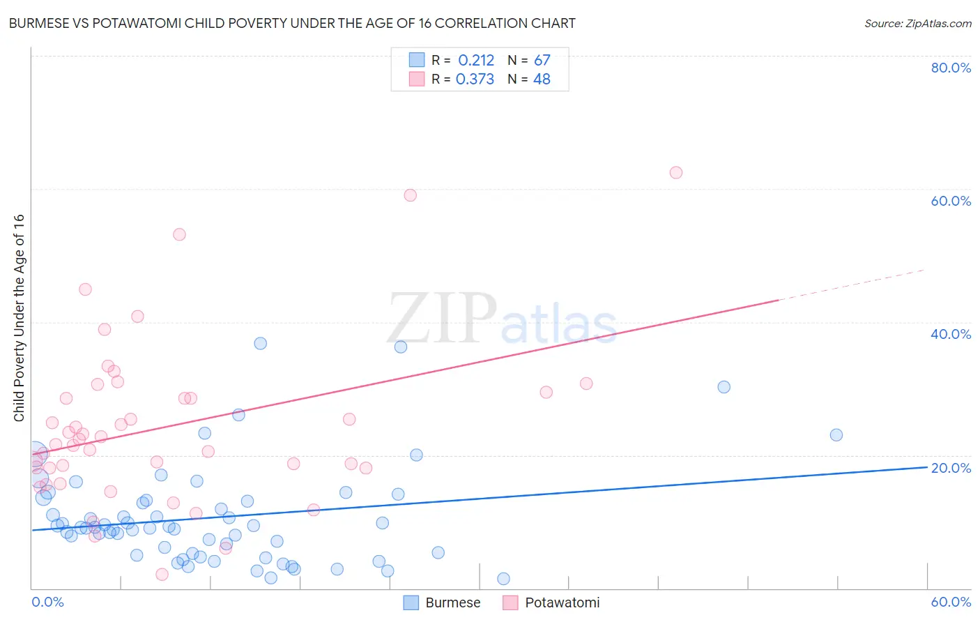 Burmese vs Potawatomi Child Poverty Under the Age of 16