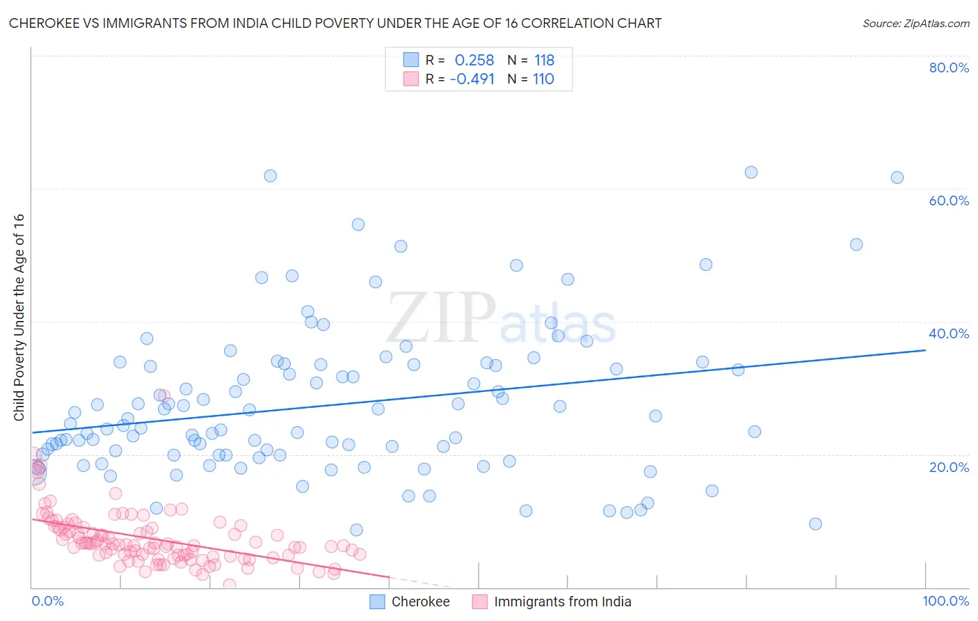 Cherokee vs Immigrants from India Child Poverty Under the Age of 16