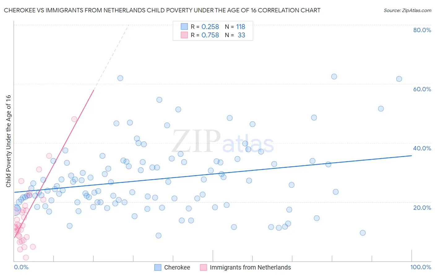 Cherokee vs Immigrants from Netherlands Child Poverty Under the Age of 16