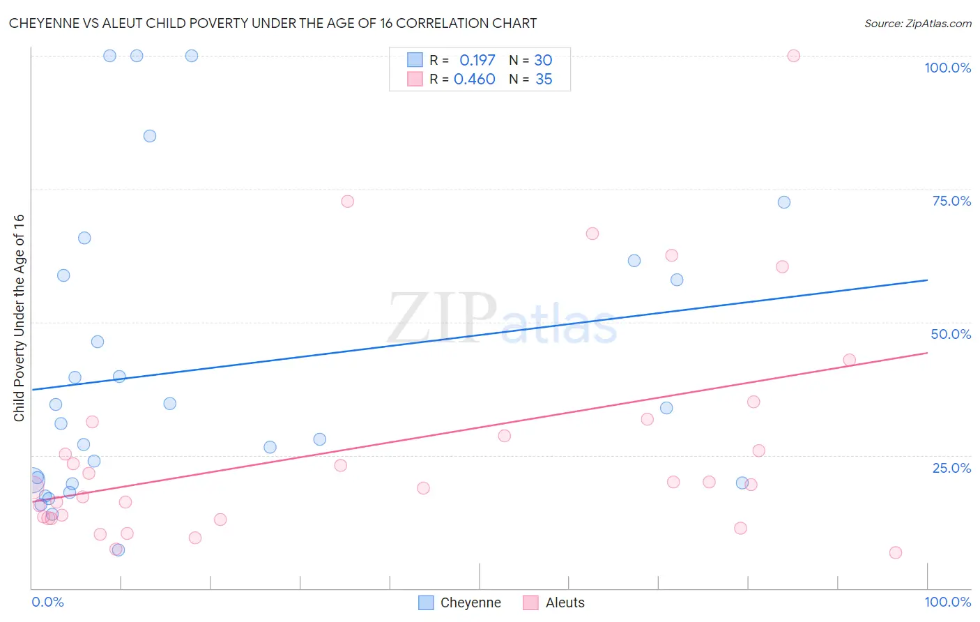 Cheyenne vs Aleut Child Poverty Under the Age of 16