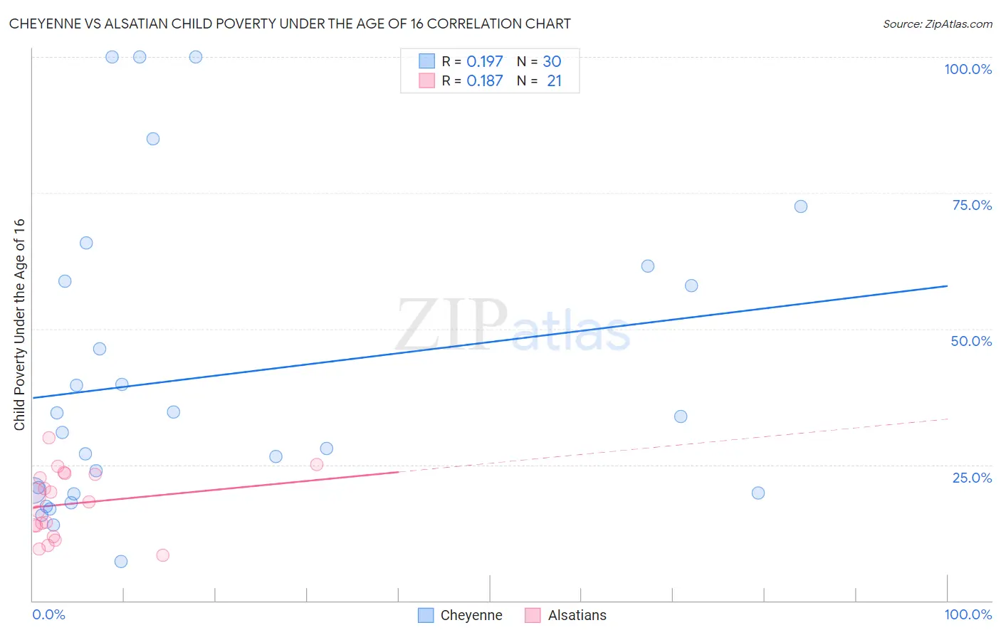 Cheyenne vs Alsatian Child Poverty Under the Age of 16