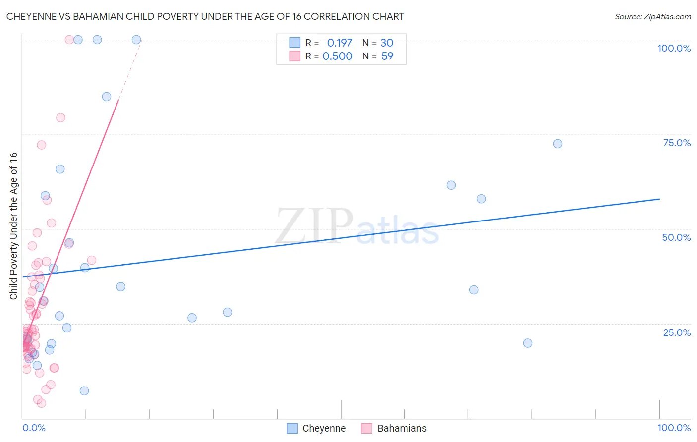 Cheyenne vs Bahamian Child Poverty Under the Age of 16