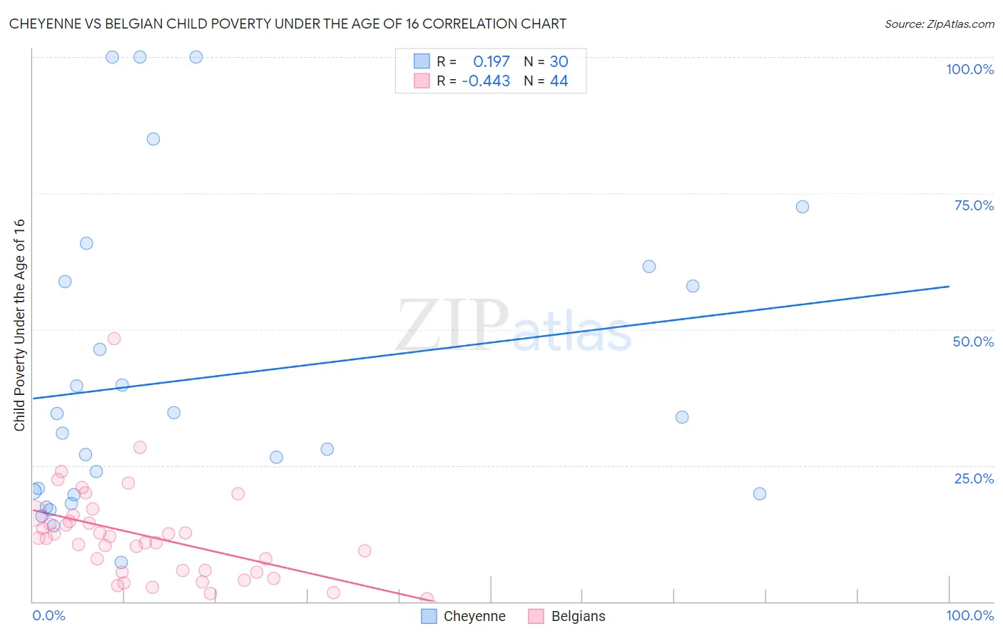Cheyenne vs Belgian Child Poverty Under the Age of 16