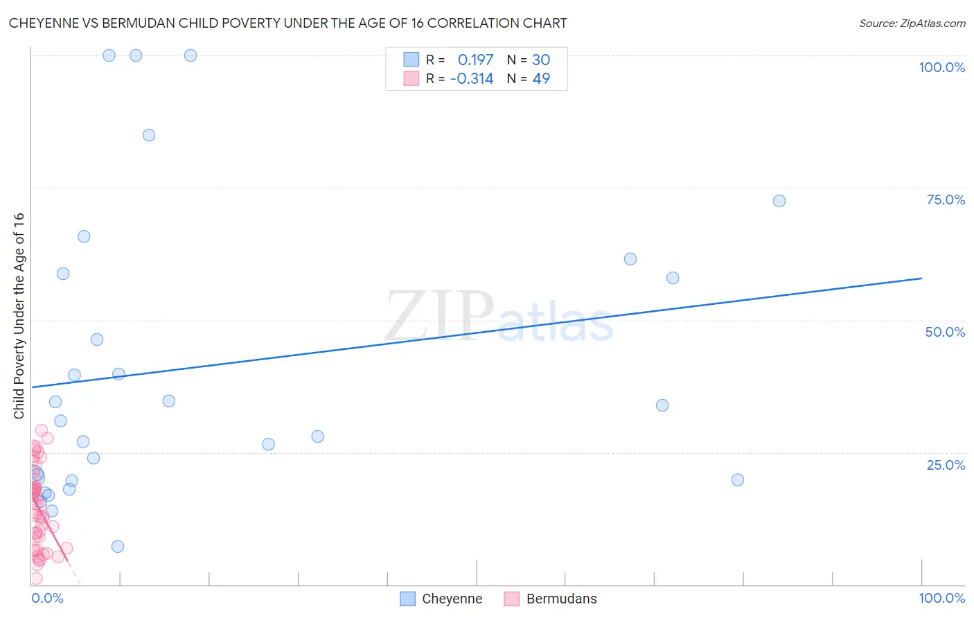 Cheyenne vs Bermudan Child Poverty Under the Age of 16