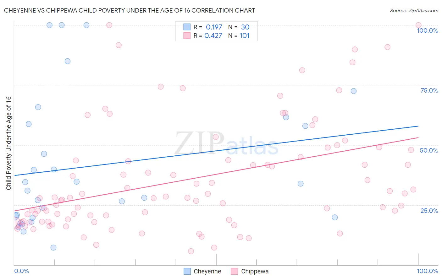 Cheyenne vs Chippewa Child Poverty Under the Age of 16